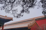 中国历史上的义渠王是谁？